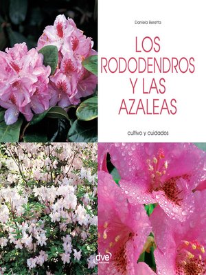 cover image of Los rododendros y las azaleas--Cultivo y cuidados